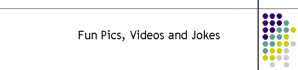 Fun Pics, Videos and Jokes