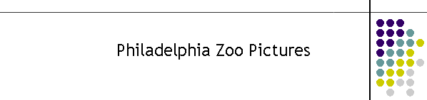 Philadelphia Zoo Pictures